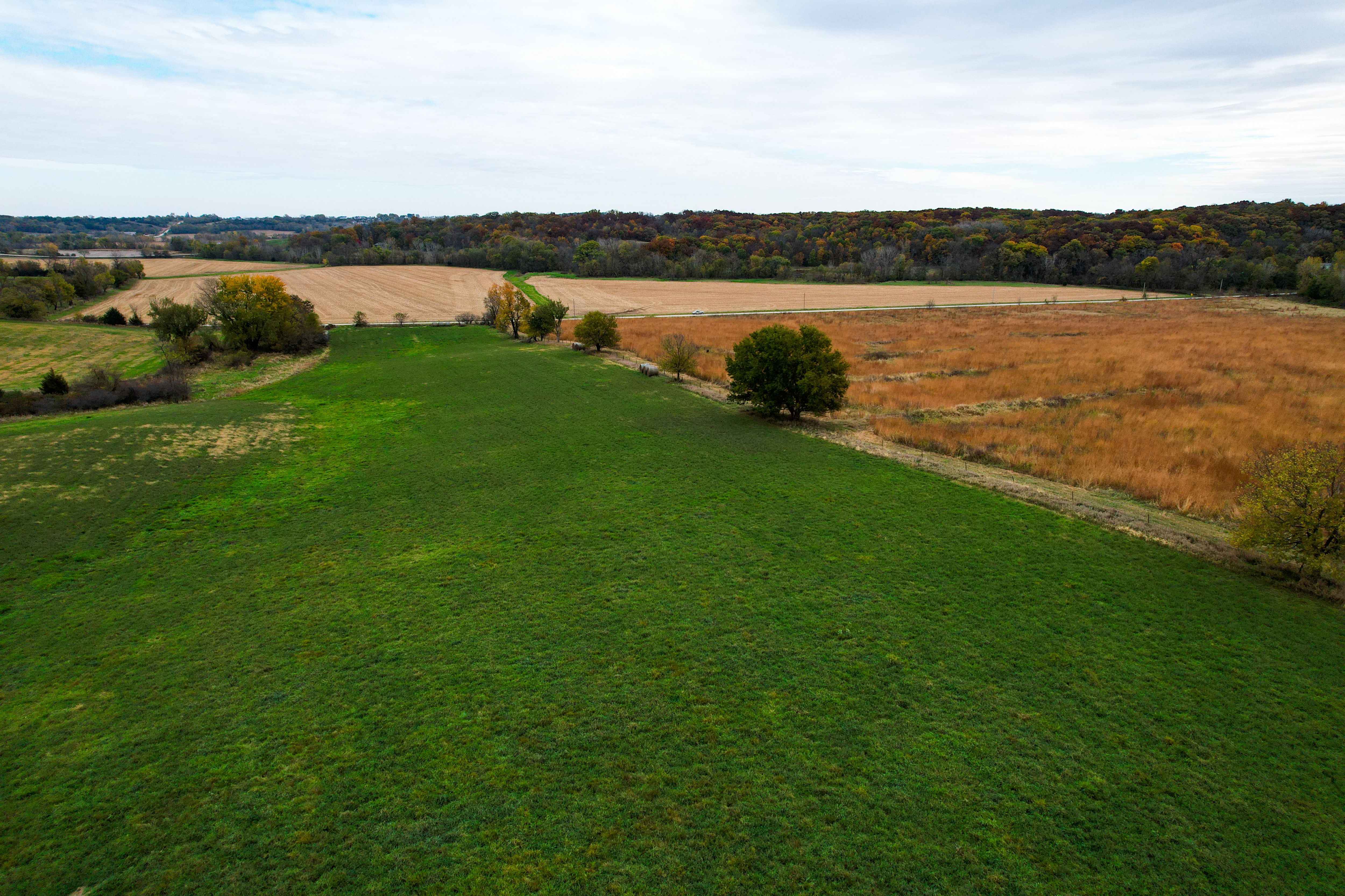 Listing Photo: Photo Oct 27 2025, 2 10 35 PM